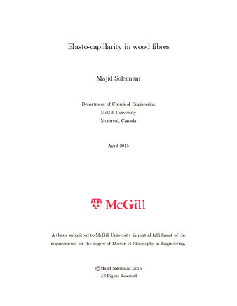 Elasto-capillarity in wood fibres thumbnail