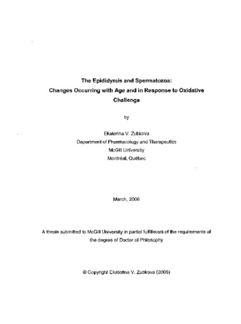 The epididymis and spermatozoa : changes occurring with age and in response to oxidative challenge thumbnail