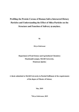 Profiling the protein corona of human saliva interacted dietary particles and Understanding the effect of silica particles on the structure and function of salivary alpha-amylase thumbnail