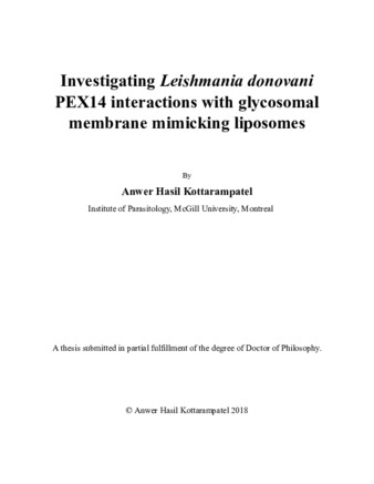 Investigating «Leishmania donovani» PEX14 interactions with glycosomal membrane mimicking liposomes thumbnail