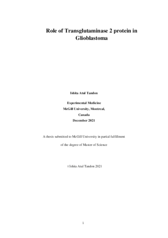 The role of transglutaminase 2 (TGM2) in glioblastoma thumbnail