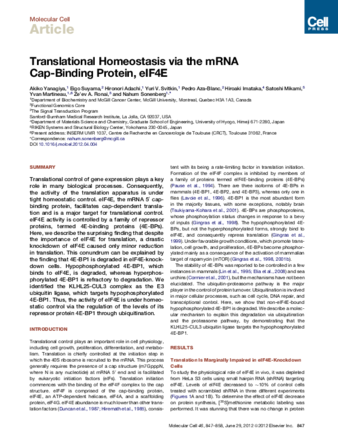 Translational Homeostasis via the mRNA Cap-Binding Protein, eIF4E thumbnail