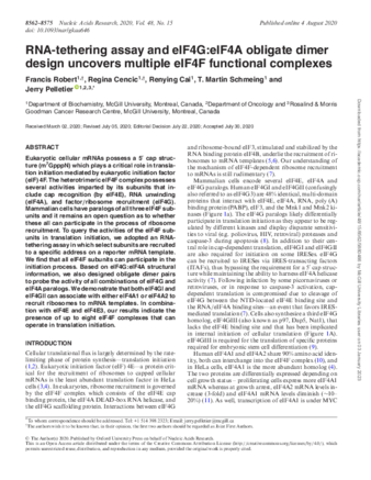 RNA-tethering assay and eIF4G:eIF4A obligate dimer design uncovers multiple eIF4F functional complexes thumbnail