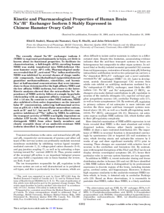  Kinetic and pharmacological properties of human brain Na(+)/H(+) exchanger isoform 5 stably expressed in Chinese hamster ovary cells thumbnail