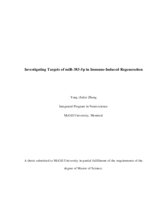Investigating targets of miR-383-5p in immune-induced regeneration thumbnail