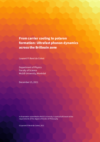 From carrier cooling to polaron formation: ultrafast phonon dynamics across the Brillouin zone thumbnail