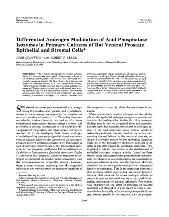 Differential Androgen Modulation of Acid Phosphatase Isozymes in Primary Cultures of Rat Ventral Prostate Epithelial and Stromal Cells thumbnail