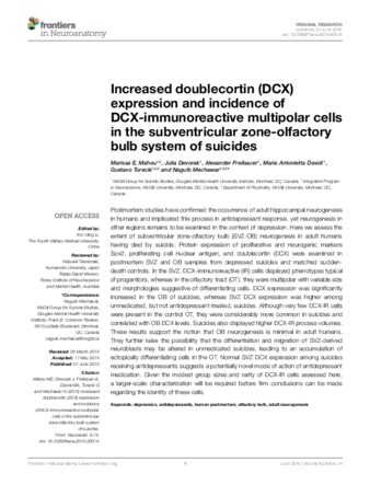 Increased doublecortin (DCX) expression and incidence of DCX-immunoreactive multipolar cells in the subventricular zone-olfactory bulb system of suicides thumbnail