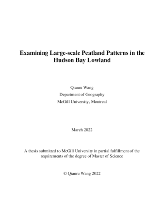 Examining large-scale peatland patterns in the Hudson Bay Lowland thumbnail