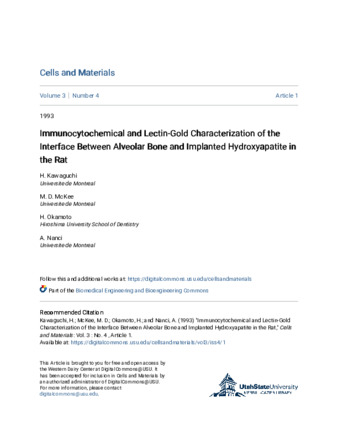 Immunocytochemical and Lectin-Gold Characterization of the Interface Between Alveolar Bone and Implanted Hydroxyapatite in the Rat thumbnail