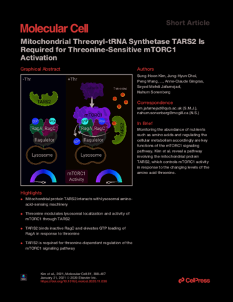 Mitochondrial Threonyl-tRNA Synthetase TARS2 Is Required for Threonine-Sensitive mTORC1 Activation thumbnail