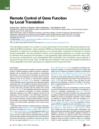 Remote Control of Gene Function by Local Translation thumbnail