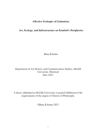 Affective Ecologies of Limitation:  Affect, Ecology and Infrastructure in İstanbul’s Peripheries thumbnail