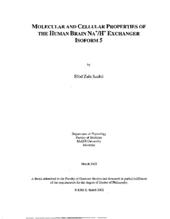 Molecular and cellular properties of the human brain Na+H+ exchanger isoform 5 thumbnail