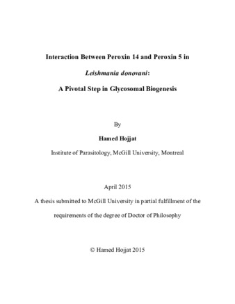 Interaction between Peroxin 14 and Peroxin 5 in «Leishmania donovani»: A pivotal step in glycosomal biogenesis thumbnail