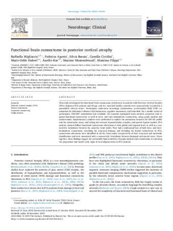 Functional brain connectome in posterior cortical atrophy thumbnail