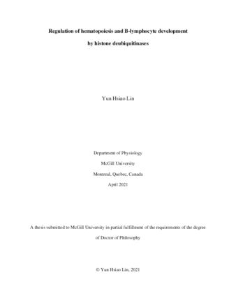 Regulation of hematopoiesis and B-lymphocyte development by histone deubiquitinases thumbnail