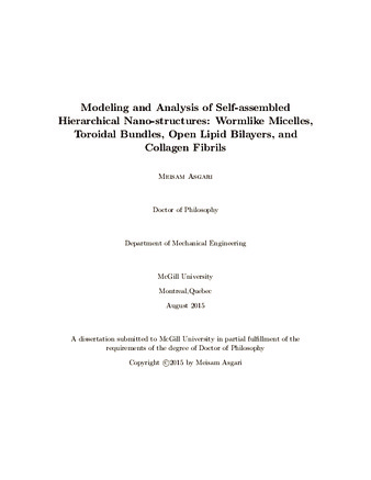 Modeling and analysis of self-assembled hierarchical nano-structures: Wormlike micelles, toroidal bundles, open lipid bilayers, and collagen fibrils thumbnail