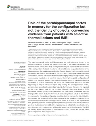 Role of the parahippocampal cortex in memory for the configuration but not the identity of objects: converging evidence from patients with selective thermal lesions and fMRI thumbnail