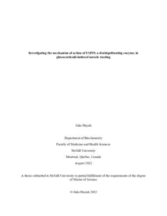 Investigating the mechanism of action of USP19, a deubiquitinating enzyme, in glucocorticoid-induced muscle wasting thumbnail