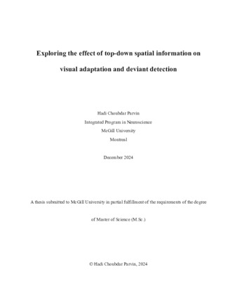 Exploring the effect of top-down spatial information on visual adaptation and deviant detection thumbnail