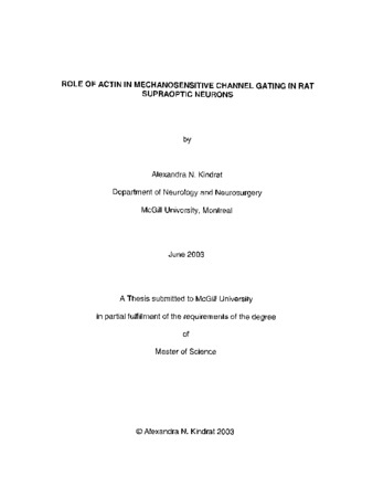 Role in actin in mechanosensitive channel gating in rat supraoptic neurons thumbnail
