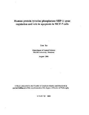 Human protein tyrosine phosphatase SHP-1 : gene regulation and role in apoptosis in MCF-7 cells thumbnail