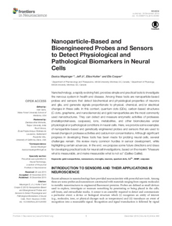 Nanoparticle-Based and Bioengineered Probes and Sensors to Detect Physiological and Pathological Biomarkers in Neural Cells thumbnail