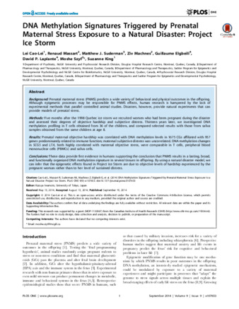 DNA Methylation Signatures Triggered by Prenatal Maternal Stress Exposure to a Natural Disaster: Project Ice Storm thumbnail