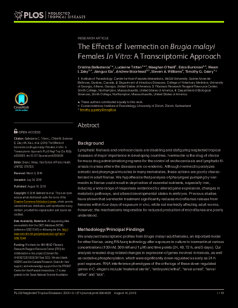 The Effects of Ivermectin on Brugia malayi Females In Vitro: A Transcriptomic Approach thumbnail