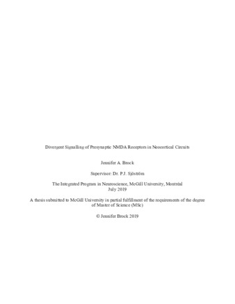 Divergent signalling of presynaptic NMDA receptors in neocortical circuits thumbnail