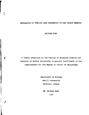 Regulation of tubulin gene expression in sea urchin embryos thumbnail