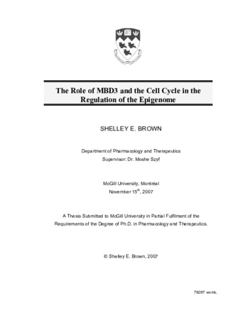 The role of MBD3 and the cell cycle in the regulation of the epigenome thumbnail