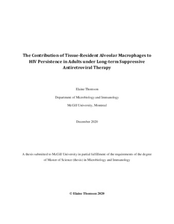 The contribution of tissue-resident alveolar macrophages to HIV persistence in adults under long-term suppressive antiretroviral therapy thumbnail