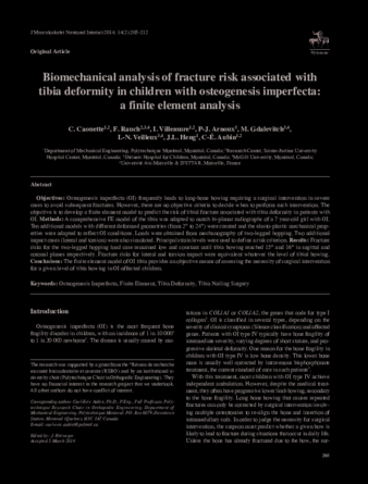 Biomechanical analysis of fracture risk associated with tibia deformity in children with osteogenesis imperfecta: a finite element analysis thumbnail