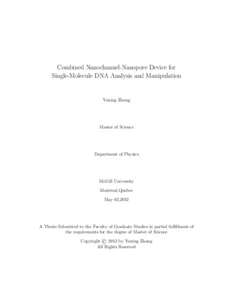 Combined nanochannel-nanopore device for single- molecule DNA analysis and manipulation thumbnail
