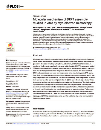 Molecular mechanism of DRP1 assembly studied in vitro by cryo-electron microscopy thumbnail