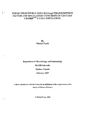 TGF-[beta]1 selectively induces Foxp3 transcription factor and regulatory functions in CD4+CD25⁻CD45RBLow T cell population thumbnail