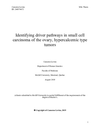 Identifying driver pathways in small cell carcinoma of the ovary, hypercalcemic type tumors thumbnail
