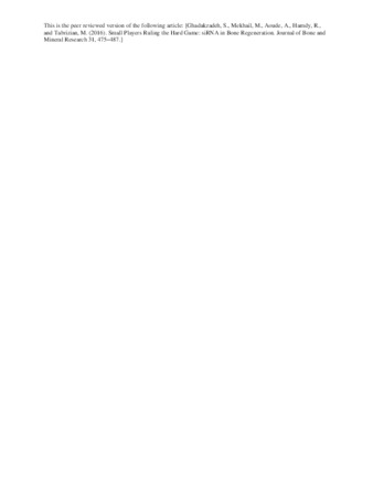 Small Players Ruling the Hard Game: siRNA in Bone Regeneration thumbnail