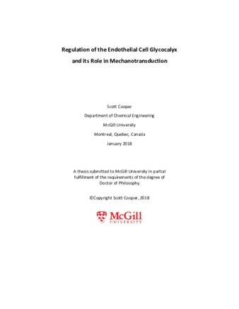 Regulation of the endothelial cell glycocalyx and its role in mechanotransduction thumbnail