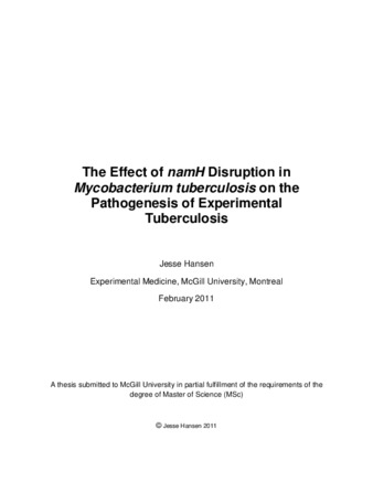 The effect of namH disruption in Mycobacterium tuberculosis on the pathogenesis of experimental tuberculosis thumbnail