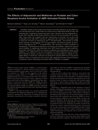 The Effects of Adiponectin and Metformin on Prostate and Colon Neoplasia Involve Activation of AMP-Activated Protein Kinase thumbnail