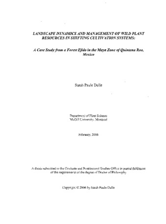 Landscape dynamics and management of wild plant resources in shifting cultivation systems : a case study from a forest ejido in the Maya zone of Quintana Roo, Mexico thumbnail