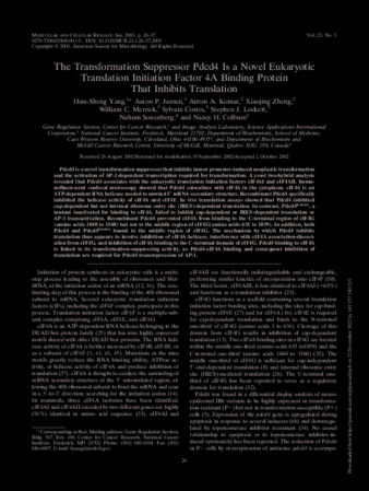 The Transformation Suppressor Pdcd4 Is a Novel Eukaryotic Translation Initiation Factor 4A Binding Protein That Inhibits Translation thumbnail