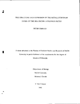 The structure and expression of the metallothionein genes of the sea urchin Lytechinus pictus / thumbnail