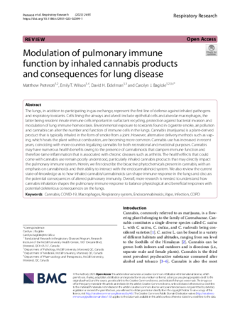 Modulation of pulmonary immune function by inhaled cannabis products and consequences for lung disease thumbnail