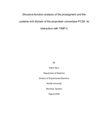 Structure-function analysis of the prosegment and the cysteine-rich domain of the proprotein convertase PC5A: its interaction with TIMP-2 thumbnail