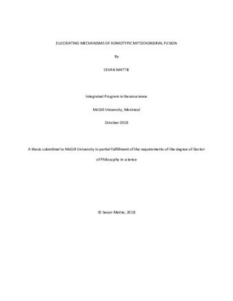 Ellucidating mechanisms of homotypic mitochondrial fusion thumbnail
