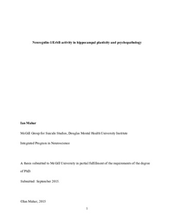 Neuregulin-1/ErbB activity in hippocampal plasticity and psychopathology thumbnail